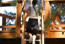 TreeTrek Canopy Walk
